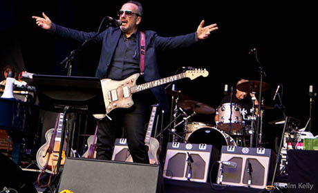 Elvis Costello & The Imposters At The Iveagh Gardens By Colm Kelly